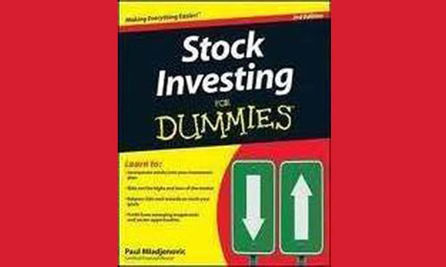 Stock Investing for Dummies 4